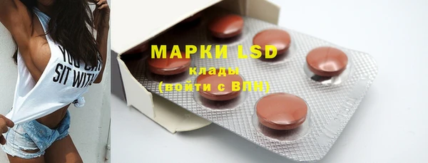 ECSTASY Алзамай